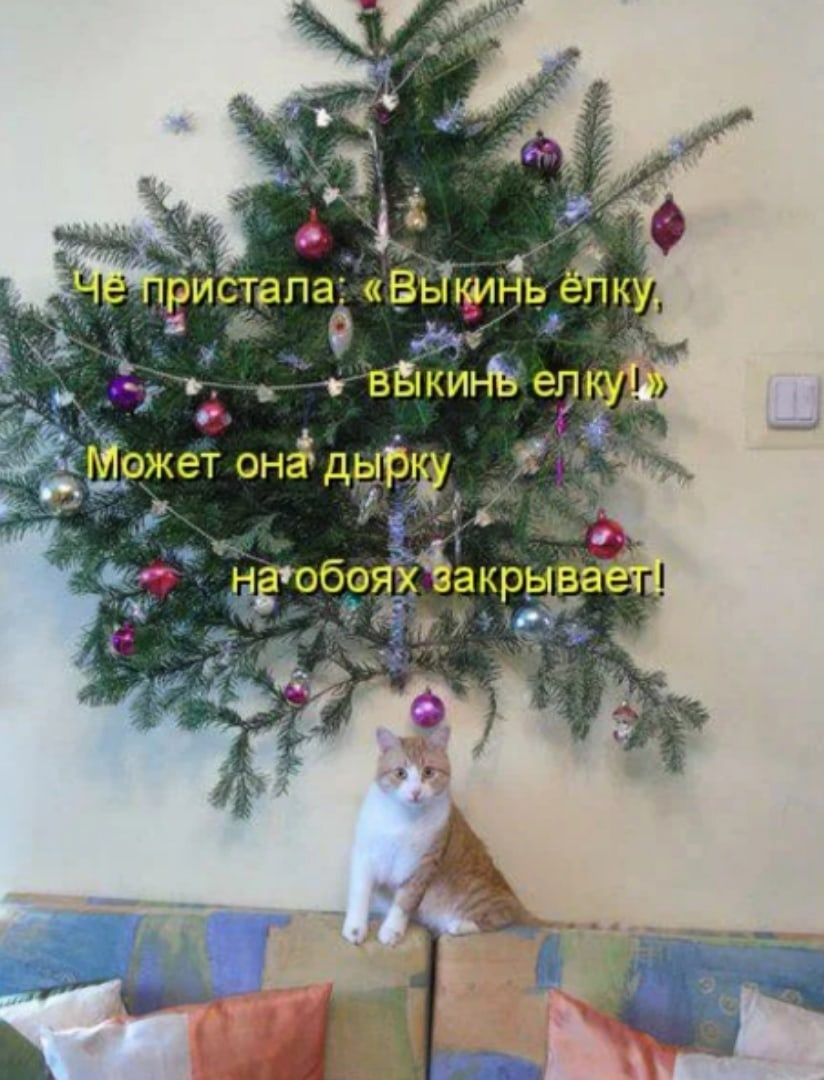 Чё пристала: «Выкинь ёлку, выкинь елку!» Может она дырку на обоих закрывает!