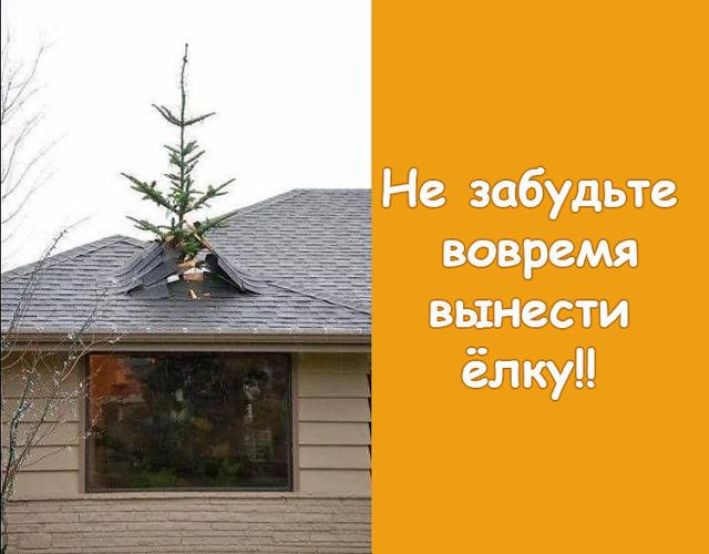 Не забудьте вовремя вынести ёлку!!