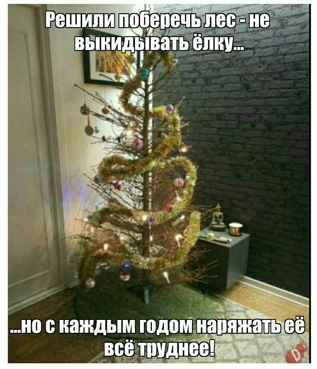 Решили поберечь лес - не выкидывать ёлку... 
...но с каждым годом наряжать её всё труднее!