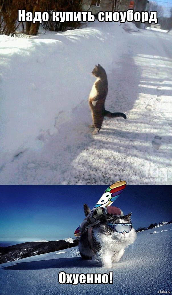 Надо купить сноуборд. Охуєнно!
