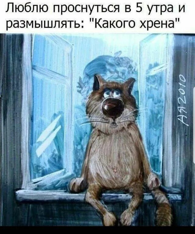 Люблю проснуться в 5 утра и размышлять: 