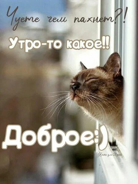 Утро-то какое!! Доброе!