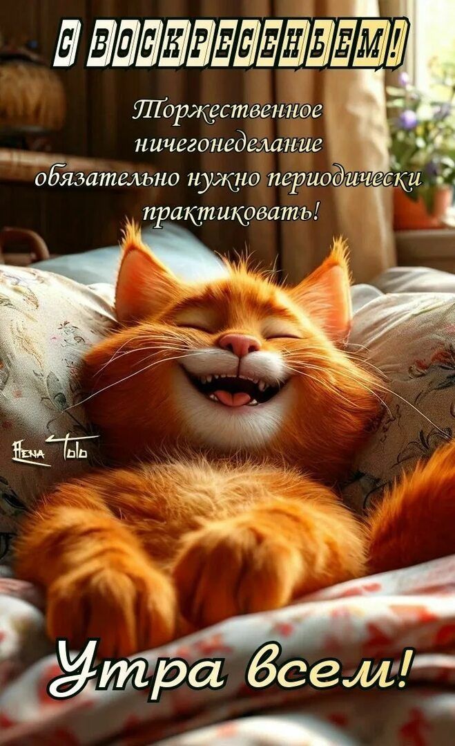 С ВОСКРЕСЕНЬЕМ!\nТоржественное ничегонеделание обязательно нужно периодически практиковать!\nУтро всем!