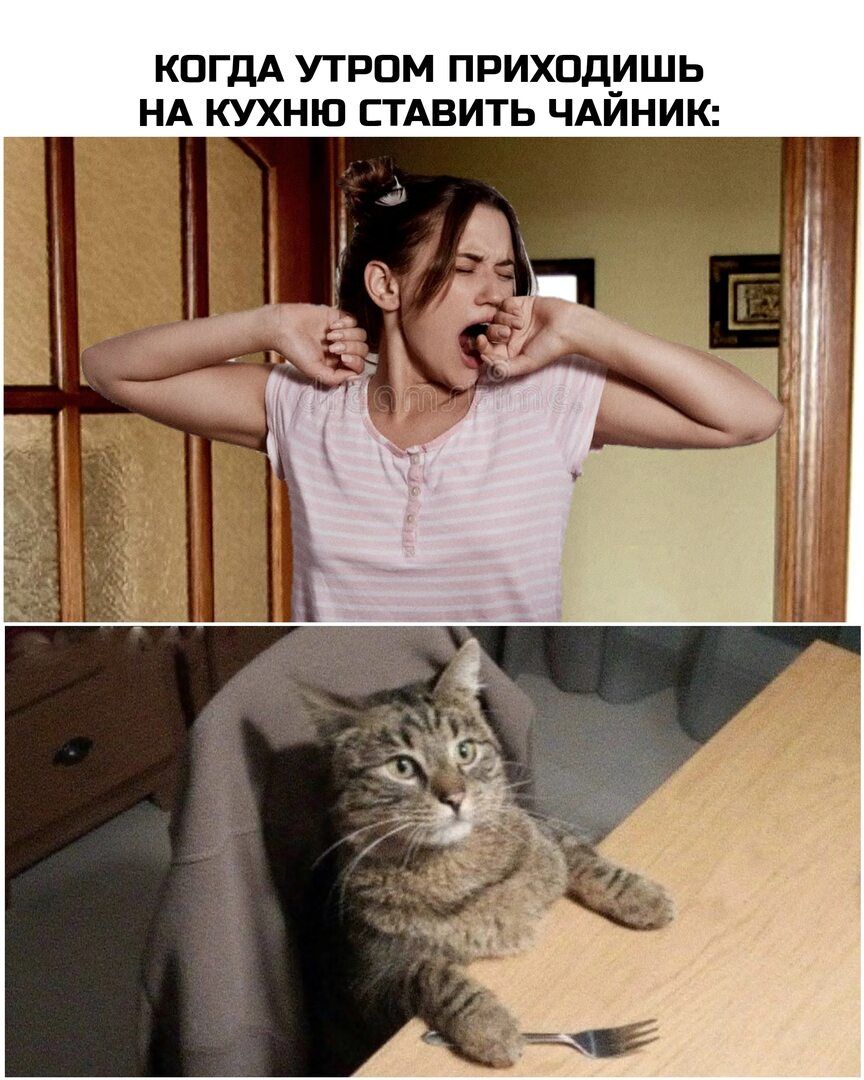 КОГДА УТРОМ ПРИХОДИШЬ НА КУХНЮ СТАВИТЬ ЧАЙНИК: