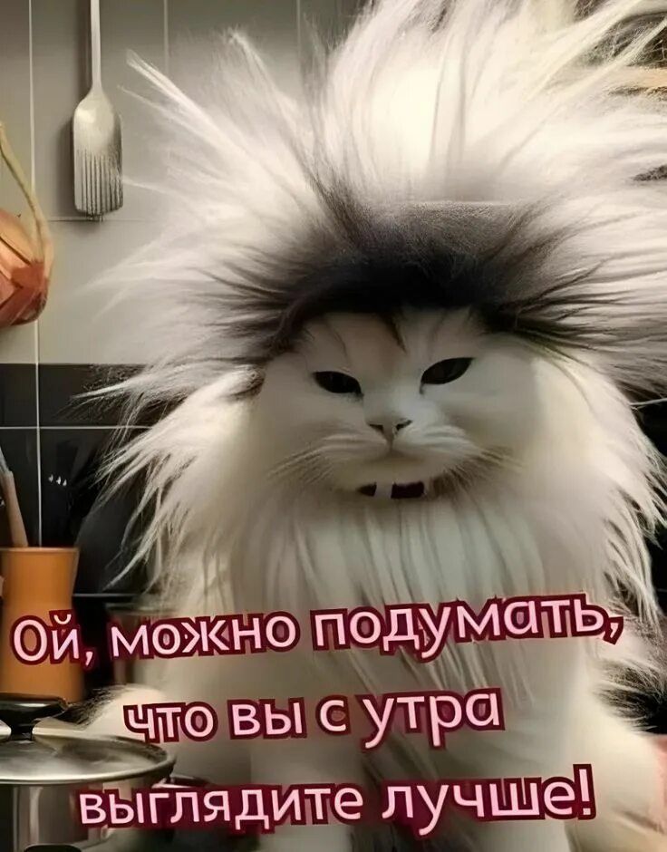 Ой, можно подумать, что вы с утра выглядите лучше!