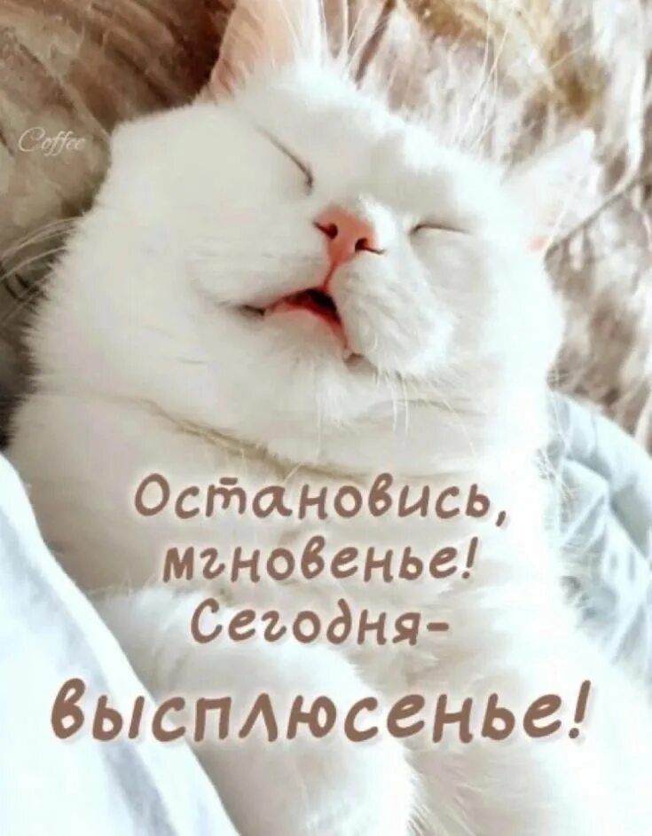 Остановись, мгновенье! Сегодня — высплюсь!