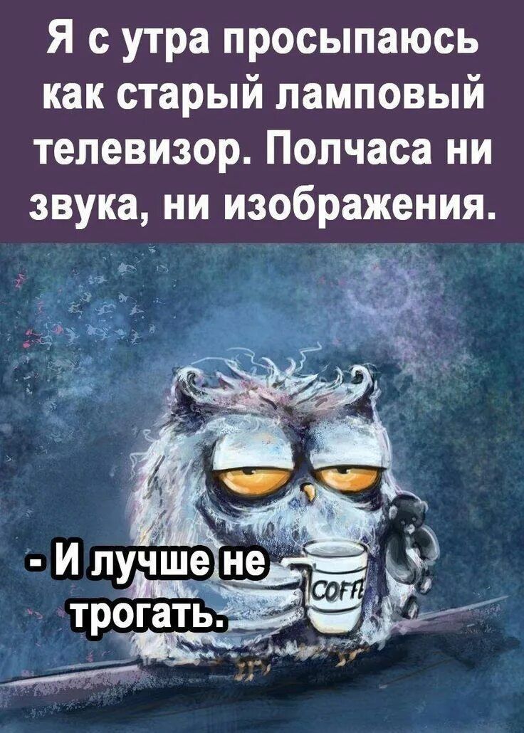 Я с утра просыпаюсь как старый ламповый телевизор. Полчаса ни звука, ни изображеня.\n-И лучше не трогать.