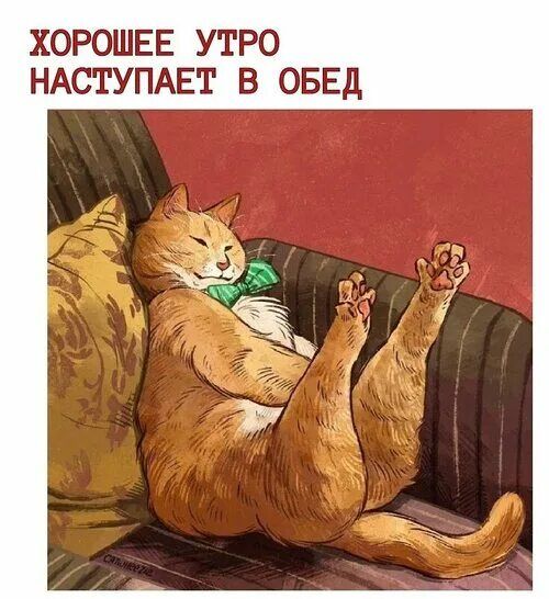 ХОРОШЕЕ УТРО НАСТУПАЕТ В ОБЕД