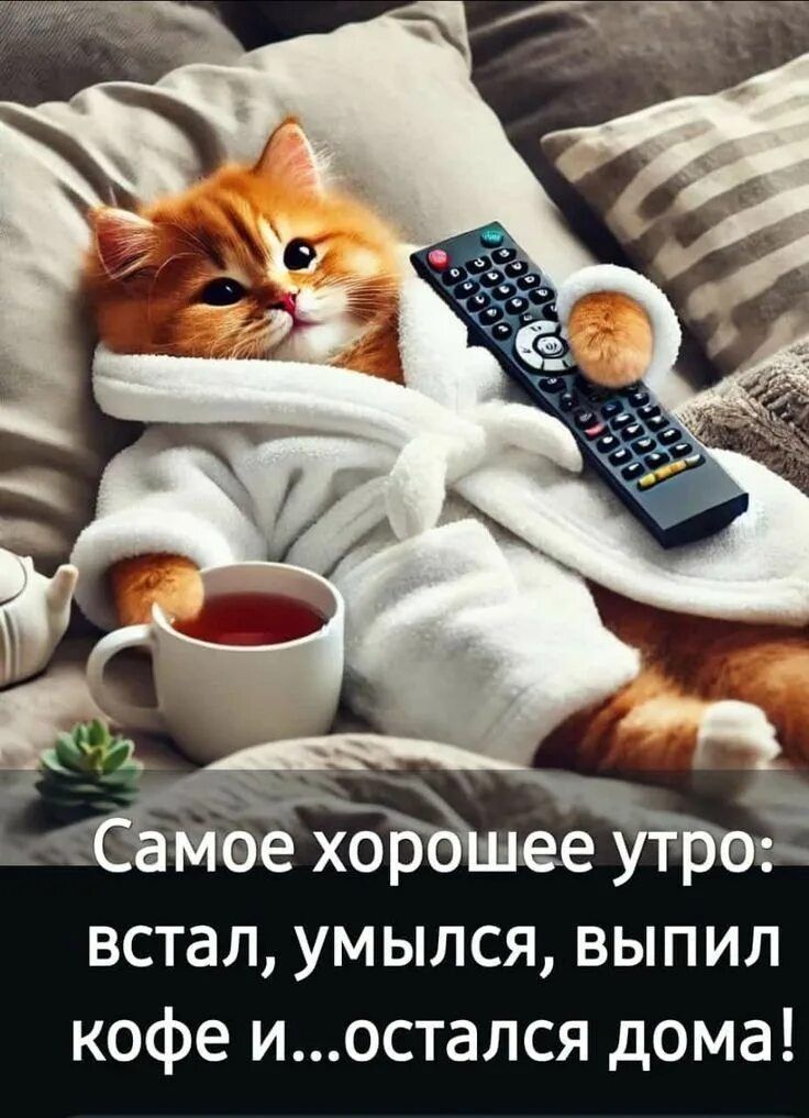 Самое хорошее утро: встал, умылись, выпил кофе и...остался дома!
