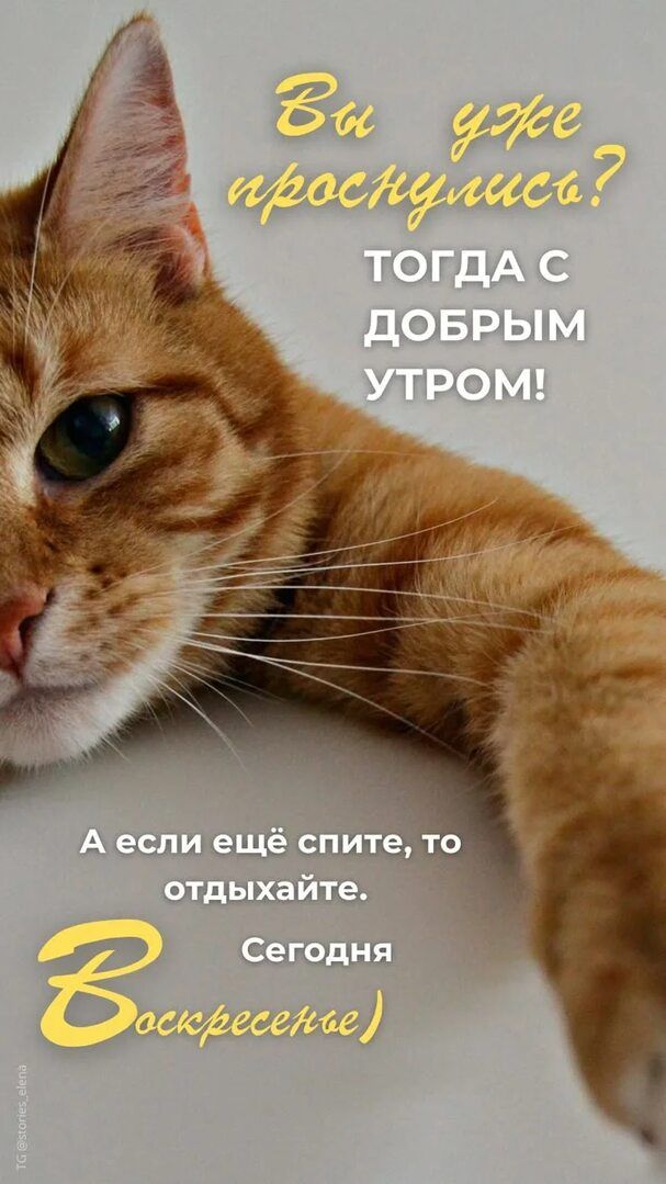 Вы уже проснулись? Тогда с добрым утром! А если ещё спите, то отдыхайте. Сегодня Воскресенье)