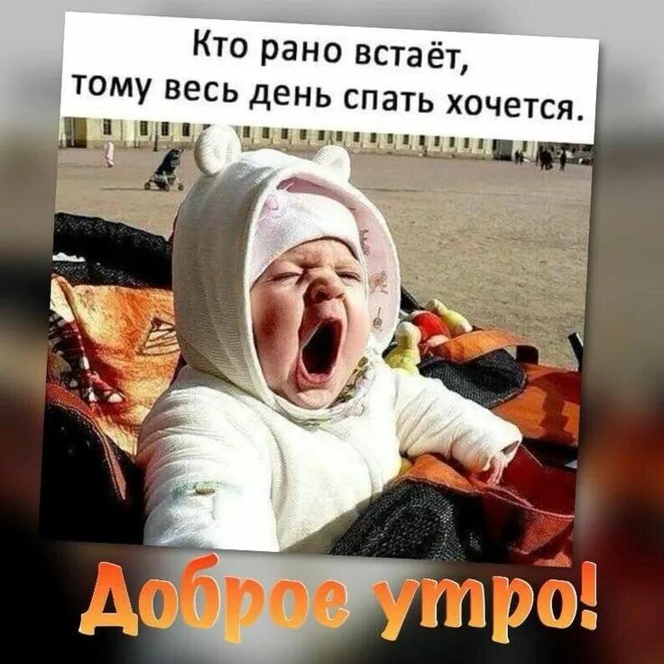 Кто рано встаёт, тому весь день спать хочется. Доброе утро!