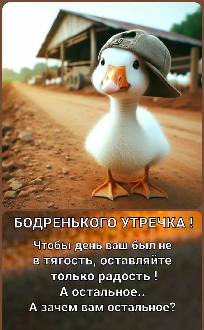 БОДРЕНЬКОГО УТРЕЧКА! Чтобы день ваш был не в тягость, оставляйте только радость! А остальное.. А зачем вам остальное?