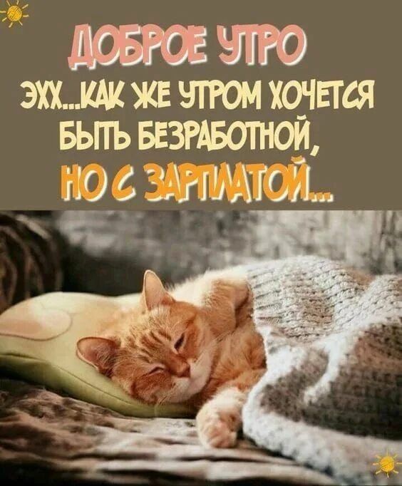 ДОБРОЕ УТРО ЭХ...КАК ЖЕ УТРОМ ХОЧЕТСЯ БЫТЬ БЕЗРАБОТНОЙ, НО С ЗАРПЛАТОЙ...