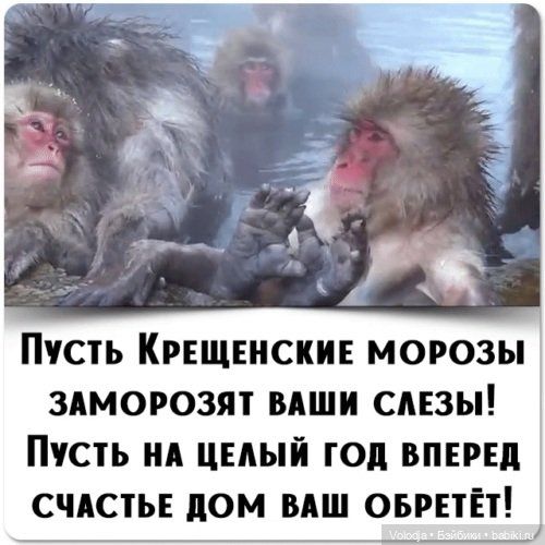 Пусть Крещенские морозы заморозят ваши слезы! Пусть на целый год вперед счастье дом ваш обретёт!