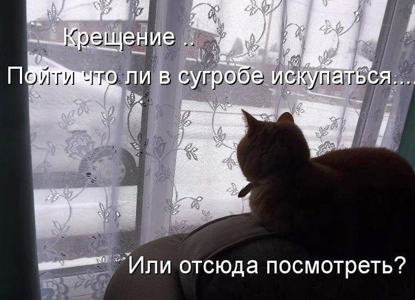 Крещение ... Пойти что ли в сугробе искупаться... Или отсюда посмотреть?