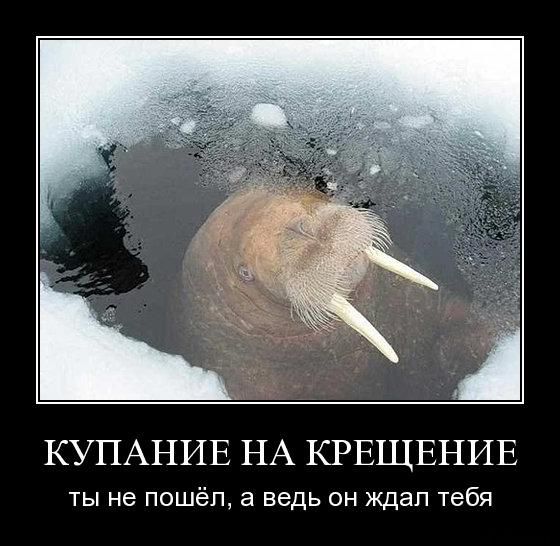 КУПАНИЕ НА КРЕЩЕНИЕ
ты не пошёл, а ведь он ждaл тебя