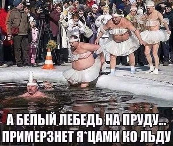 А БЕЛЫЙ ЛЕБЕДЬ НА ПРУДУ... ПРИМЕРЗНЕТ Я*ЦАМИ КО ЛЬДУ