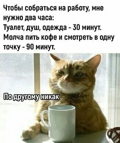 Чтобы собраться на работу, мне нужно два часа: Туалет, душ, одежда - 30 минут. Молча пить кофе и смотреть в одну точку - 90 минут.