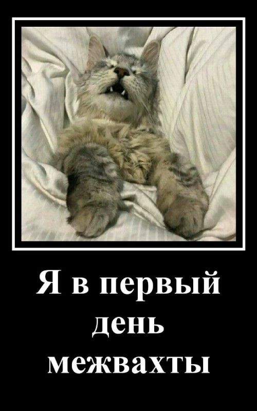 Я в первый день межвахты