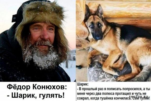 Фёдор Конюхов: - Шарик, гулять! ... Шарик: - В прошлый раз я попросился, а ты меня через три часа протащил и чуть не сгорел, когда тушенка кончилась!