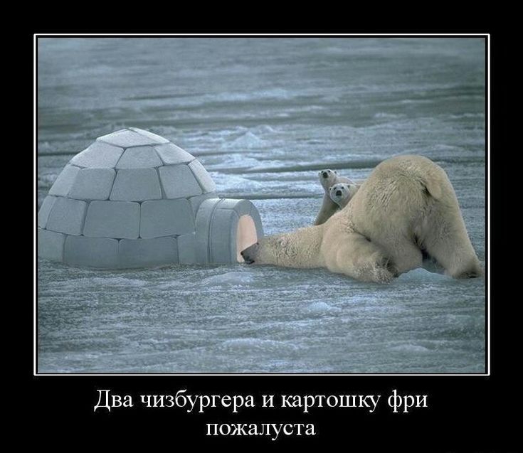 Два чизбургера и картошку фри пожалуйста