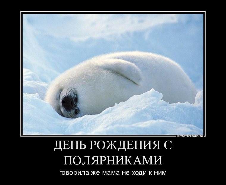 ДЕНЬ РОЖДЕНИЯ С ПОЛЯРИКАМИ
говорила же мама не ходи к ним