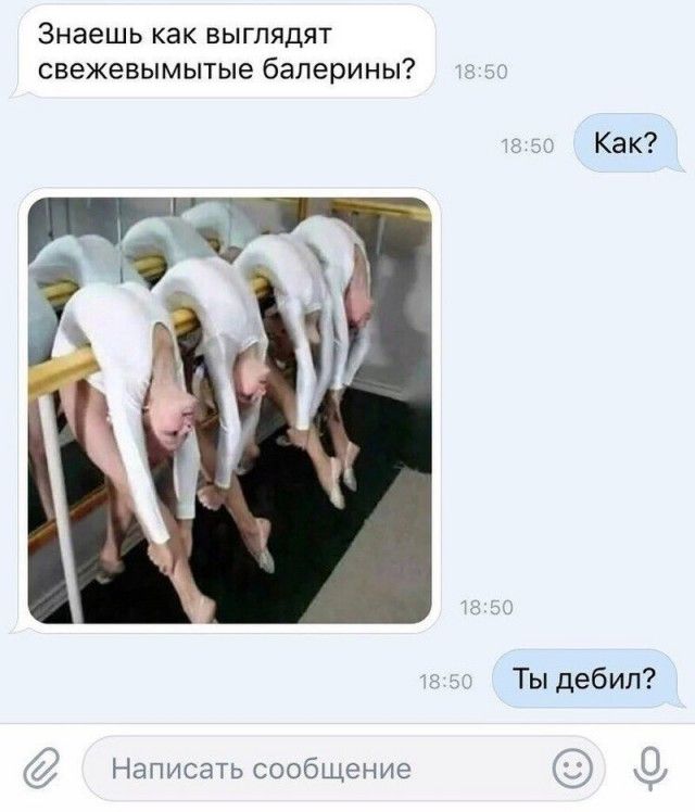 Знаешь как выглядят свежевымытые балерины?\nКак?\nТы дебил?