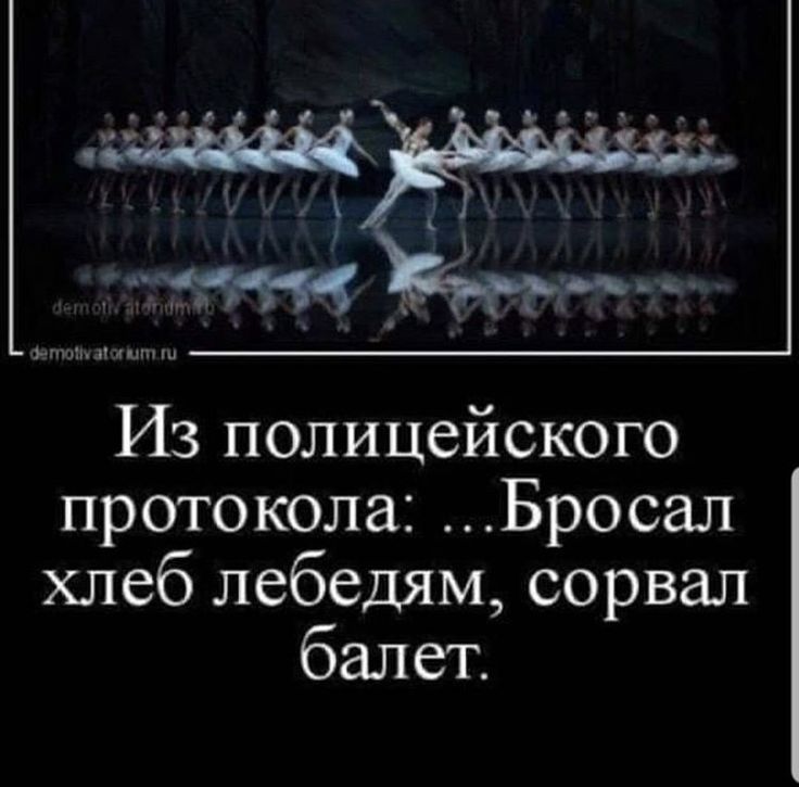 Из полицейского протокола: ...Бросал хлеб лебедям, сорвал балет.