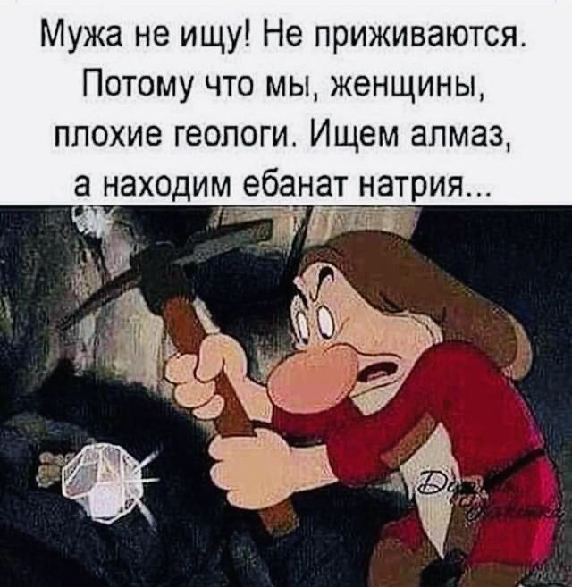 Мужа не ищу! Не привыкаются. Потому что мы, женщины, плохие геологи. Ищем алмаз, а находим ебанат натрия...