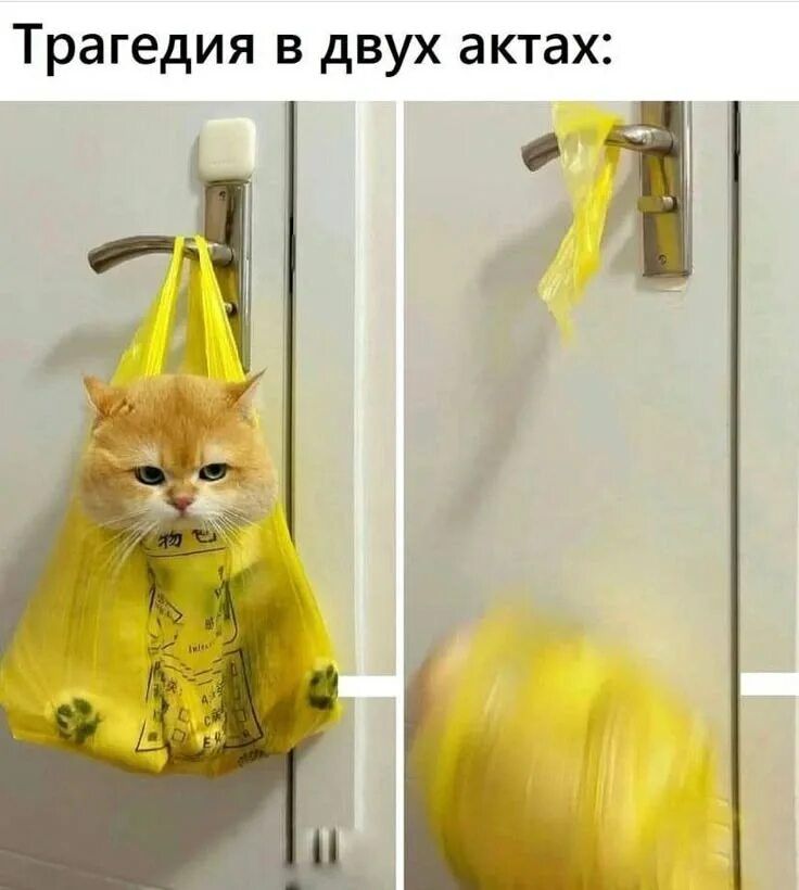 Трагедия в двух актах: