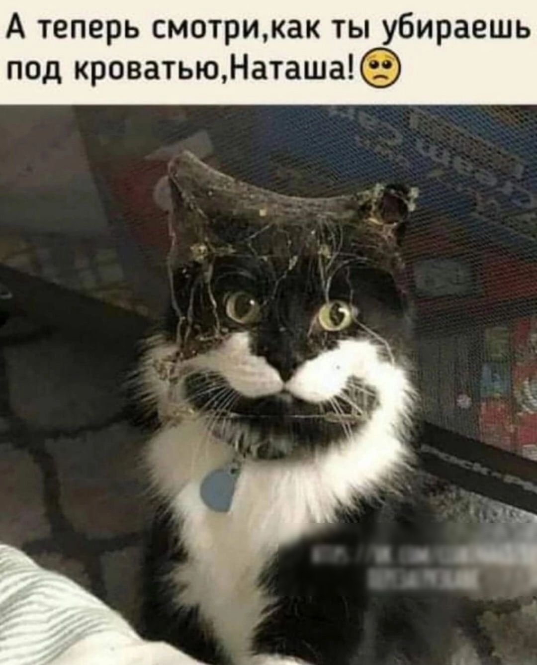 А теперь смотри, как ты убираешь под кроватью, Наташа! 😟