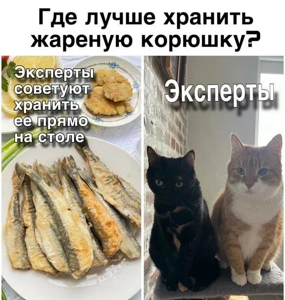 Где лучше хранить жареную корюшку? Эксперты советуют хранить ее прямо на столе. Эксперты