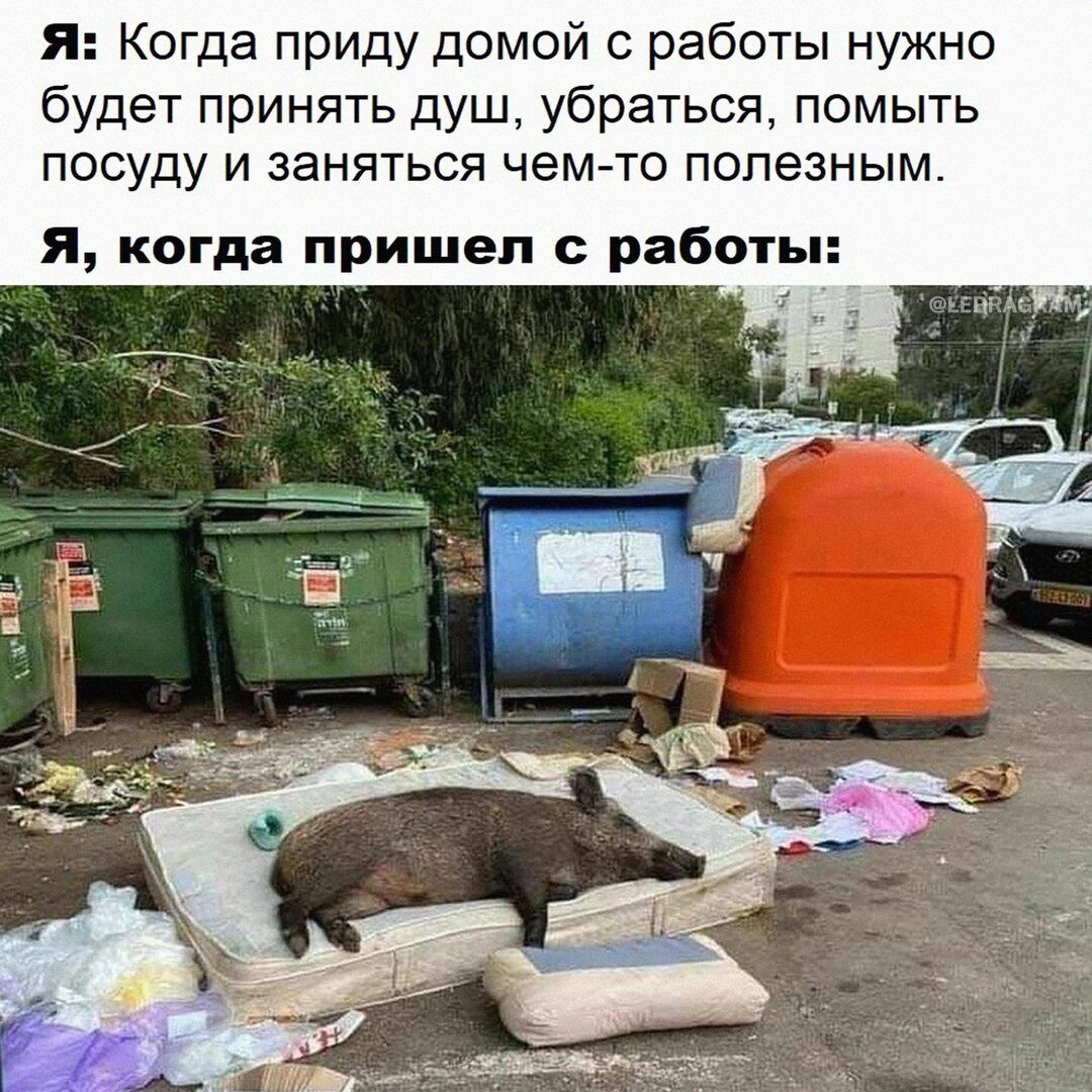 Я: Когда приду домой с работы нужно будет принять душ, убрать, помыть посуду и заняться чем-то полезным.
Я, когда пришел с работы: