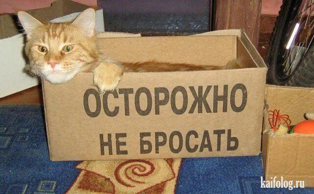 ОСТОРОЖНО НЕ БРОСАТЬ