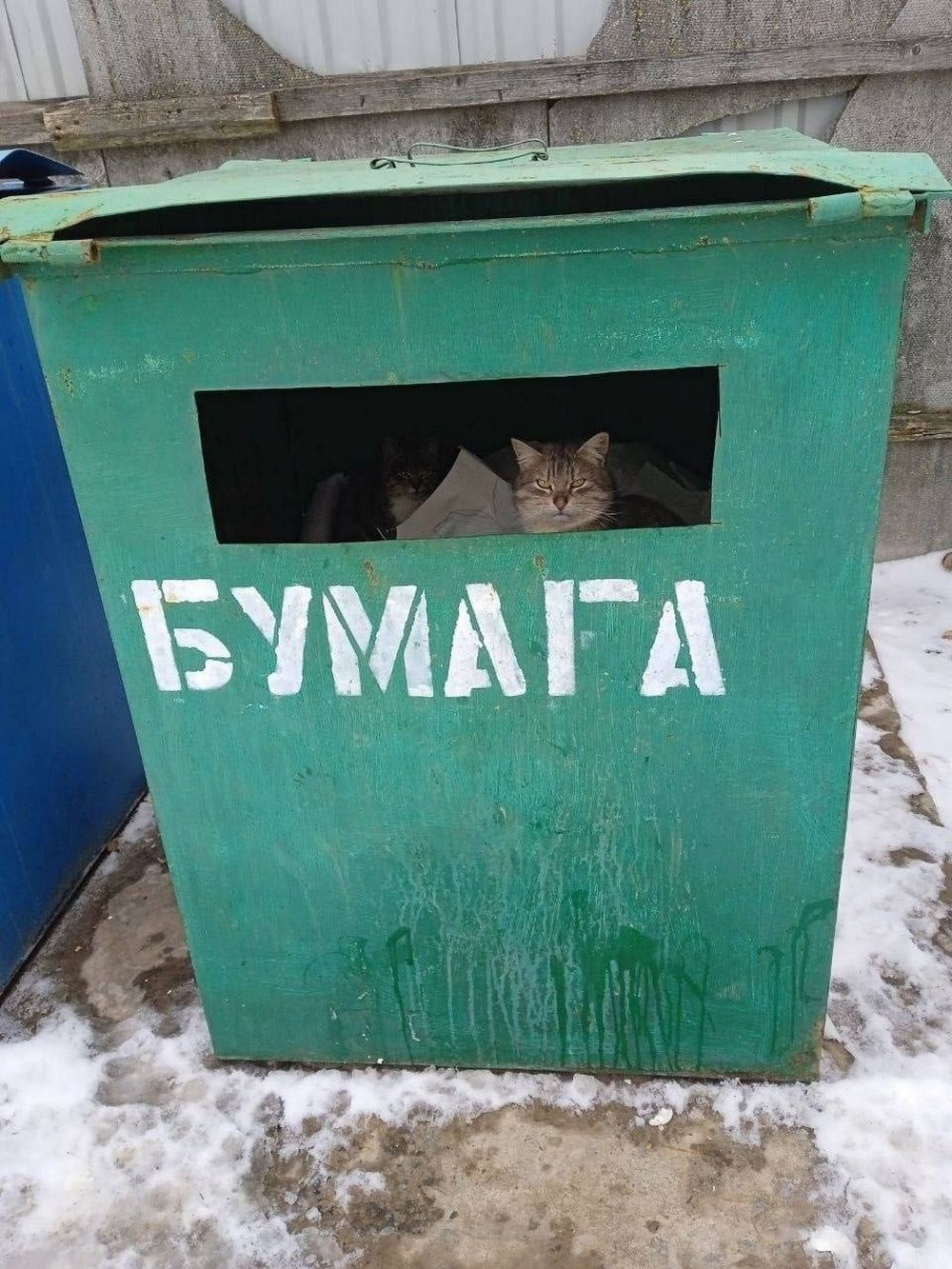 БУМАГА