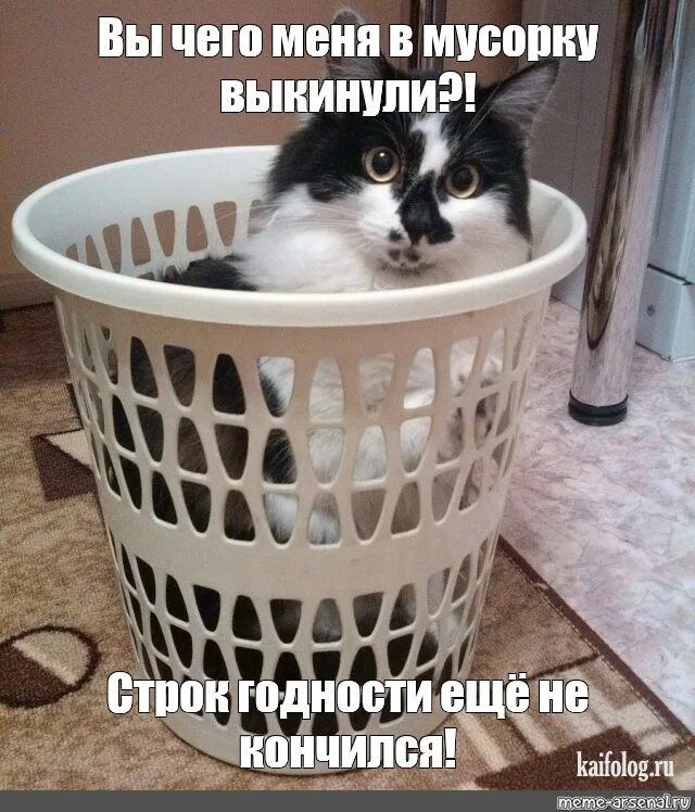 Вы чего меня в мусорку выкинули?!\nСтрок годности ещё не кончился!