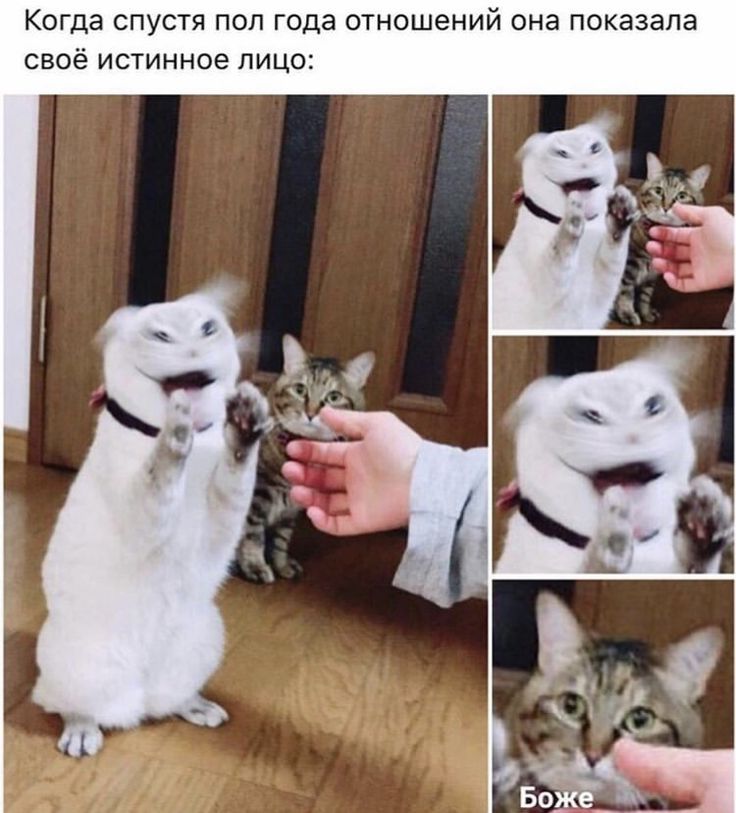 Когда спустя пол года отношений она показала своё истинное лицо:\nБоже