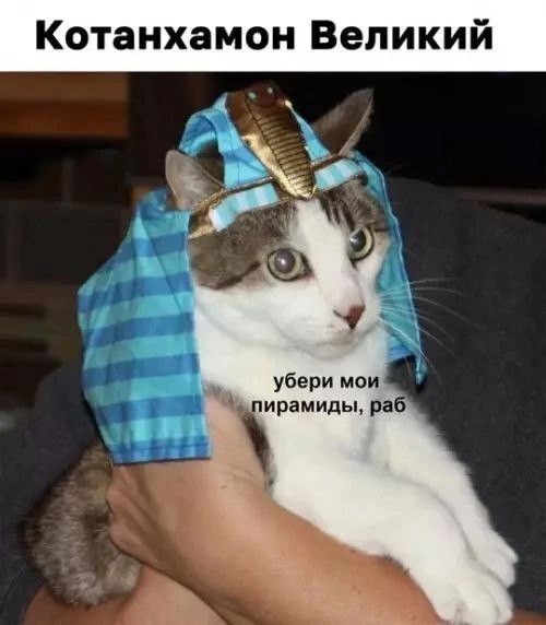 Котанхамон Великий
убери мои пирамиды, раб