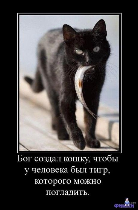 Бог создал кошку, чтобы у человека был тигр, которого можно погладить.