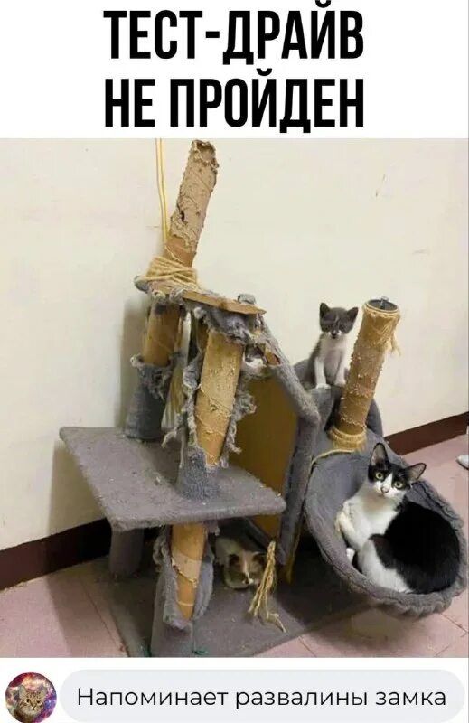 ТЕСТ-ДРАЙВ НЕ ПРОЙДЕН
Напоминает развалины замка