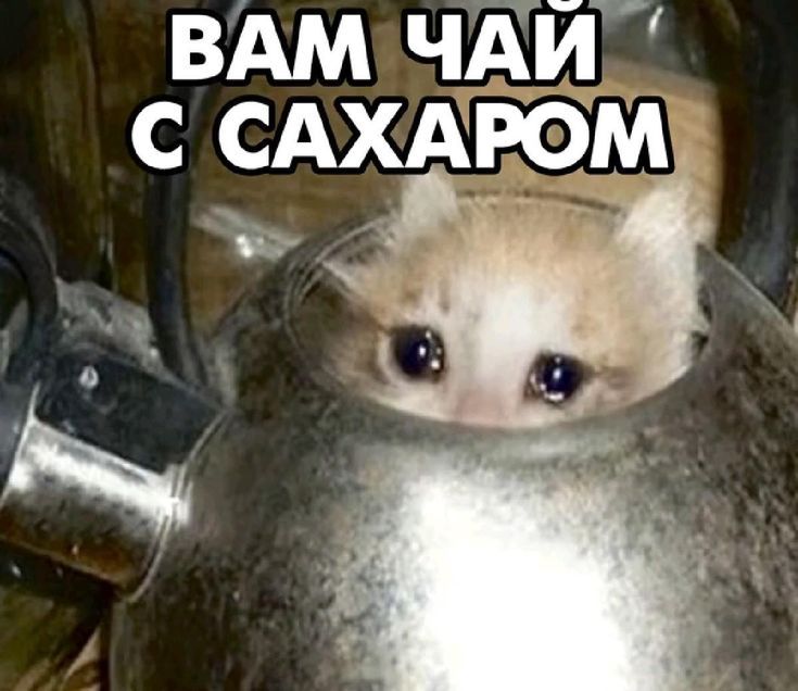 ВАМ ЧАЙ С САХАРОМ