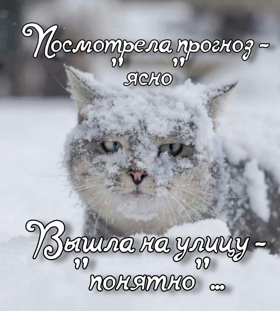 Посмотрела прогноз - ясно
Вышла на улицу - понятно …