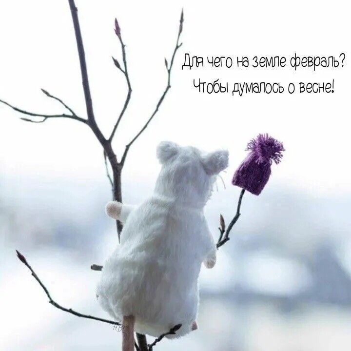Для чего на земле февраль? Чтобы думалось о весне!