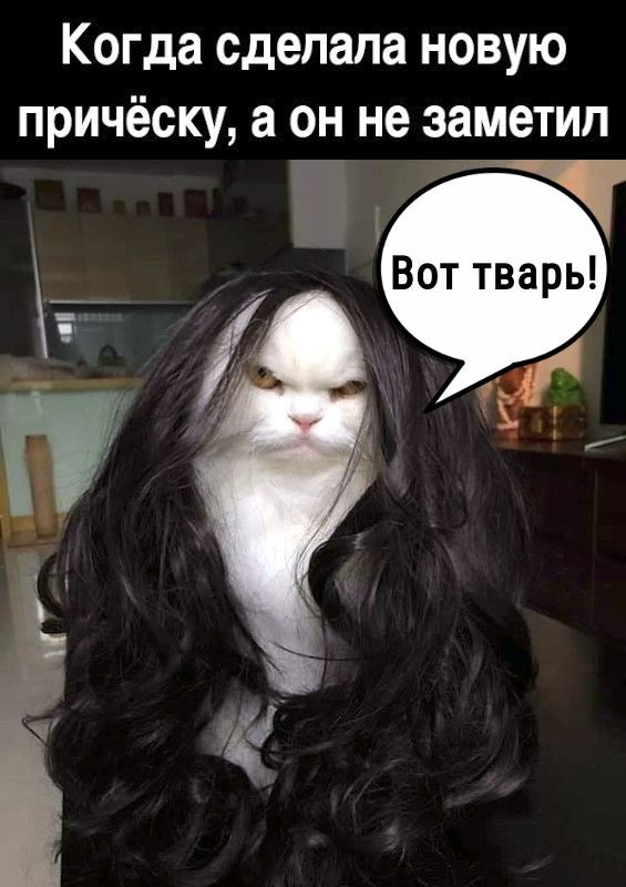Когда сделала новую прическу, а он не заметил
Вот тварь!