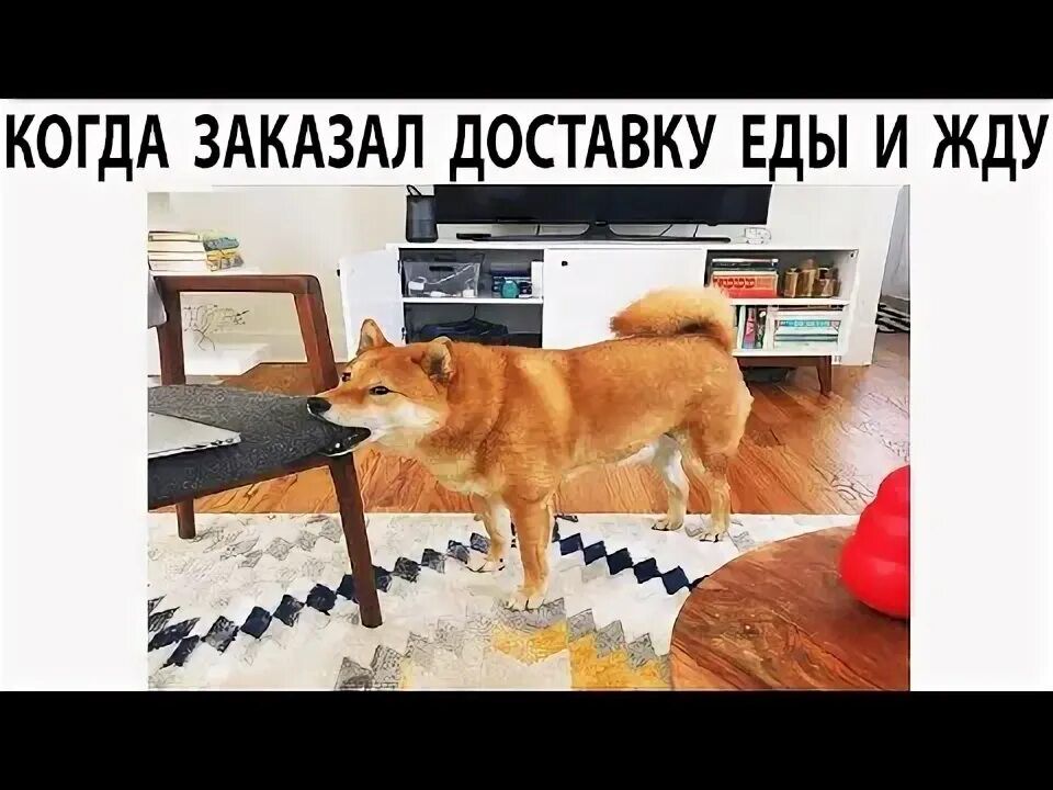 КОГДА ЗАКАЗАЛ ДОСТАВКУ ЕДЫ И ЖДУ