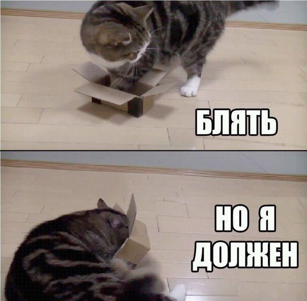 БЛЯТЬ
НО Я ДОЛЖЕН