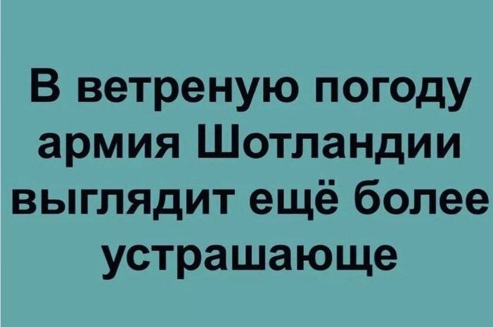 В ветреную погоду армия Шотландии выглядит ещё более устрашающе