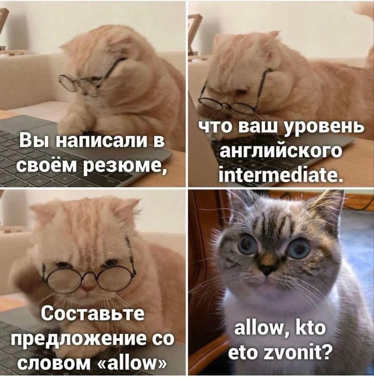 Вы написали в своём резюме, что ваш уровень английского intermediate. Составьте предложение со словом «allow». allow, kto eto zvonit?