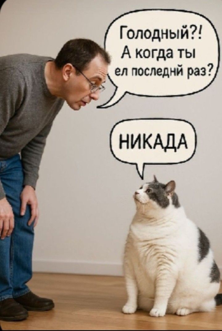 Голодный?! А когда ты ел последний раз? НИКАДА