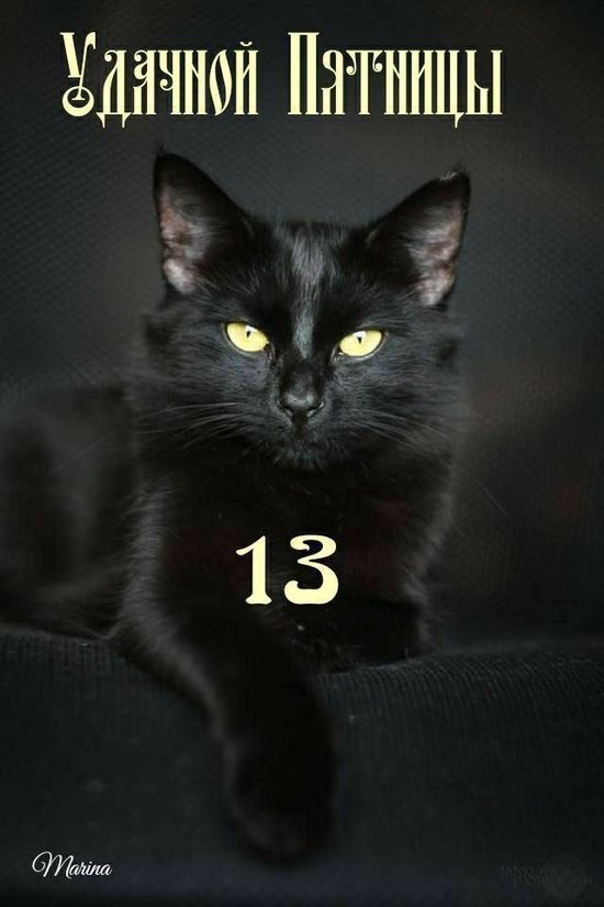Удачной Пятницы
13